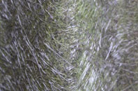 Tonyrefail fibreglass roof work